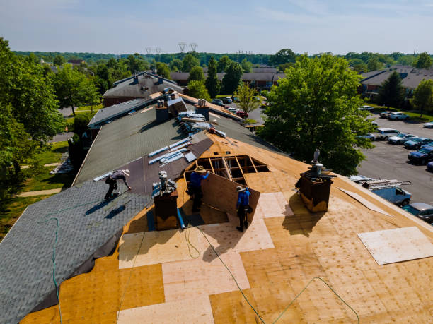 Best Storm Damage Roof Repair  in Rockville, IN